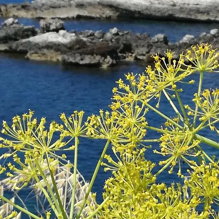 Vacanze Terra Sinus Tatil Evi *